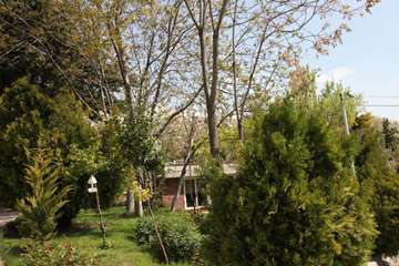 بهار دانشگاه 1399